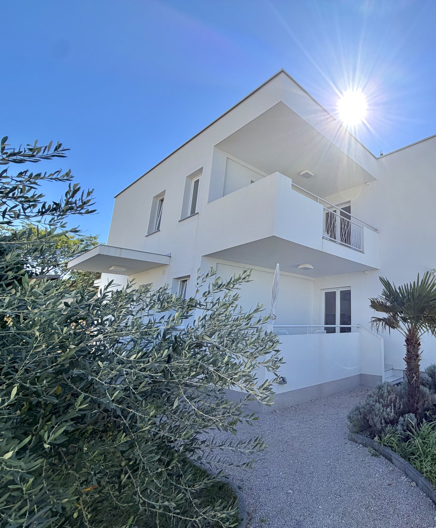 Entrance to Villa Sonja with palm trees and a balcony